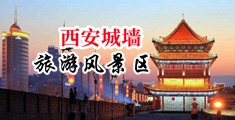 成人小视屏中国陕西-西安城墙旅游风景区